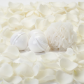White Petal Miss