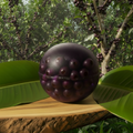 Jabuticaba Eyes