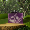 Jabuticaba Skies